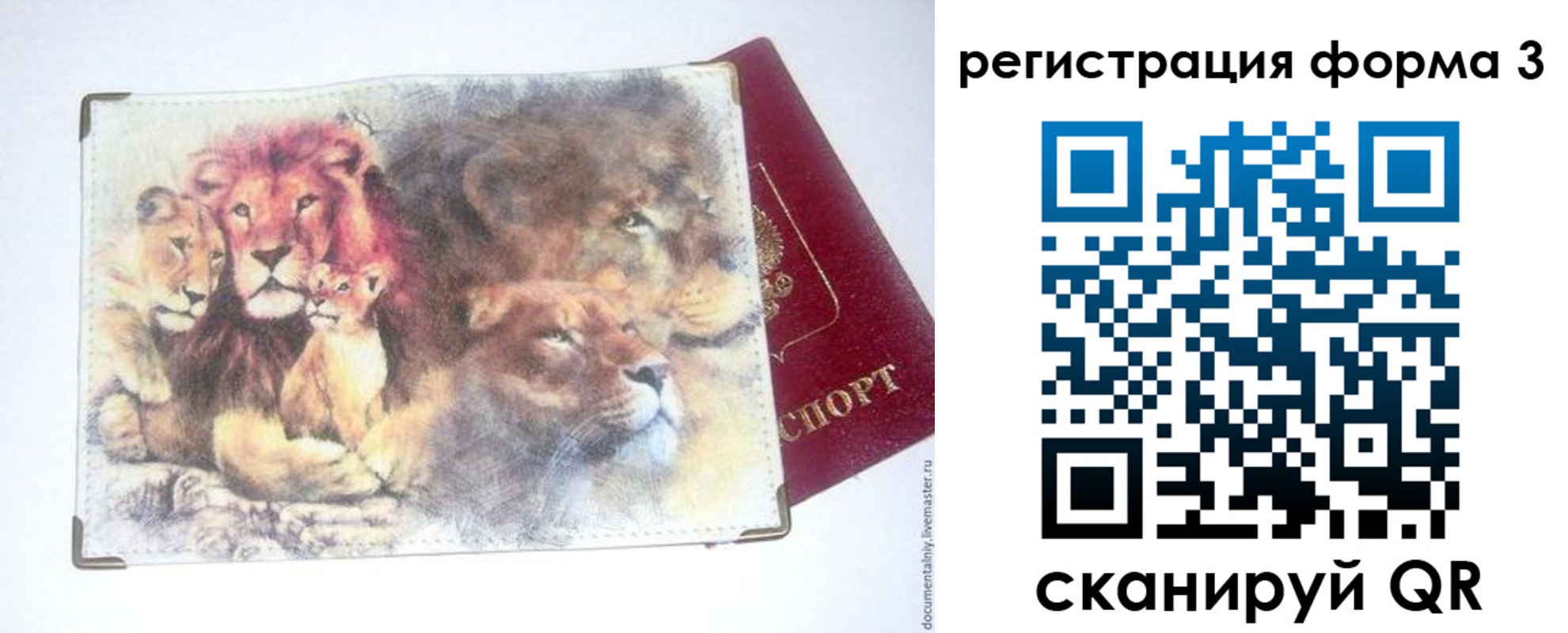 прописка в квартире в Жердевке